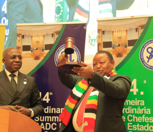 President Mnangagwa shakes up cabinet in surprise reshuffle, Minister Frederick Shava ‘demoted’