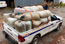 Beyond The 200kg Bust: The Powerful Names Linked To Zimbabwe’s Highly Politically-Connected Drug Cartels