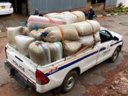 Beyond The 200kg Bust: The Powerful Names Linked To Zimbabwe’s Highly Politically-Connected Drug Cartels