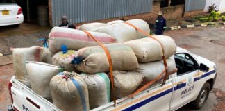 Beyond The 200kg Bust: The Powerful Names Linked To Zimbabwe’s Highly Politically-Connected Drug Cartels