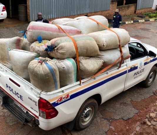 Beyond The 200kg Bust: The Powerful Names Linked To Zimbabwe’s Highly Politically-Connected Drug Cartels