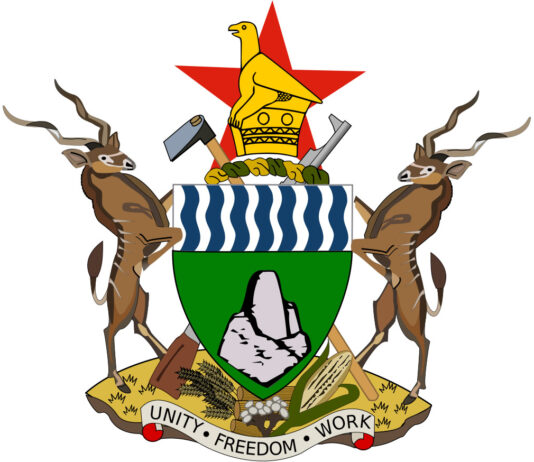 Are you a qualified and experienced Auditor? Government of Zimbabwe is looking for an Auditor-General to oversee public sector auditing