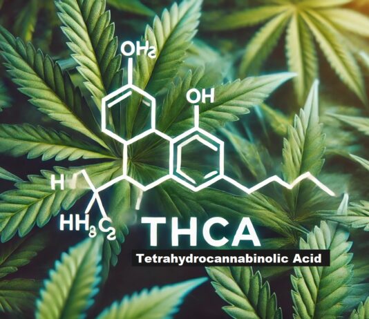 Understanding THCA’s Legal Status in Zimbabwe: What You Need to Know