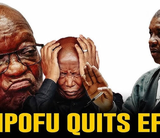 Former EFF Chairperson and veteran advocate Dali Mpofu dumps Julius Malema’s party, joins Zuma’s MK Party