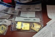 Chivayo arrested by South Africa’s Hawks serious organised crime team in R15 million gold seizure (SEE PICS)