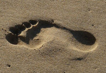 Bumper harvest gets talented Muzarabani farmer bewitched: Family members go blind and skin peels off after ‘vanokorwa tsoka’