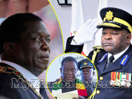 The Silent Purge: Why Top ZANU-PF and Police Officials are Suddenly “Retiring” Before 2030