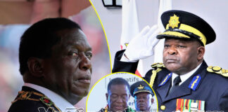 The Silent Purge: Why Top ZANU-PF and Police Officials are Suddenly “Retiring” Before 2030