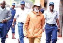 I never had sex with Madzibaba Ishmael… Drama in court as young woman refuses to accept 99.99% DNA results: ‘Mwana ndewaTinashe’