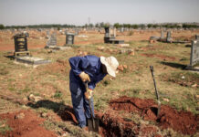 Harare Cemetery Scandal: 380 corpses exhumed and thrown away, graves resold… I’m now seeing visions of dead people