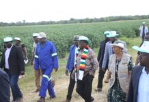 New ‘de-facto faction headquarters’: Mnangagwa’s Kwekwe farm event exposes Zanu-PF’s secret plan for ED’s Third Term bid