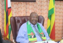 Betrayal in the Camp: Obert Mpofu’s Sudden Fall and Zanu PF’s Deadly Secret War