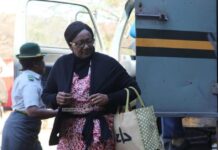 Armed robbers steal from former Minister Prisca Mupfumira who was once arrested for corruption, loses Isuzu twin cab worth US$70,000 at gunpoint