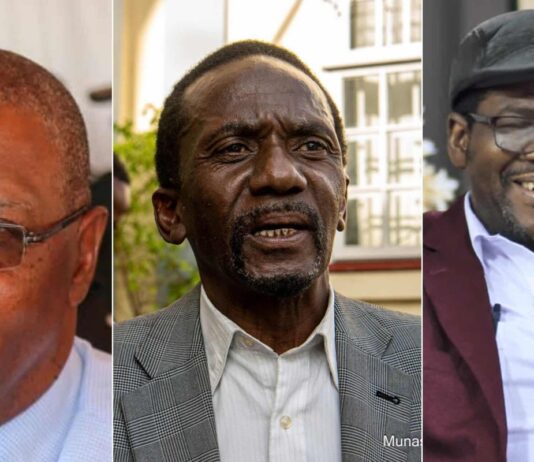 Jameson Timba and Welshman Ncube join hands and declare war on Tshabangu after he FIRED more CCC senior officials
