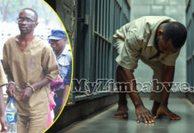 Lula lula loving Chikurubi inmate saving 20 years for rape strongly sodomises fellow inmate until he screams for help