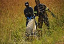 Dangerous husband shoots wife multiple times till she dies and flees to Zimbabwe to seek powerful sangoma’s help