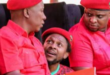 I’m not Mbuyiseni Ndlozi’s father, I don’t even want to know why he resigned: Troubled Julius Malema finally speaks out