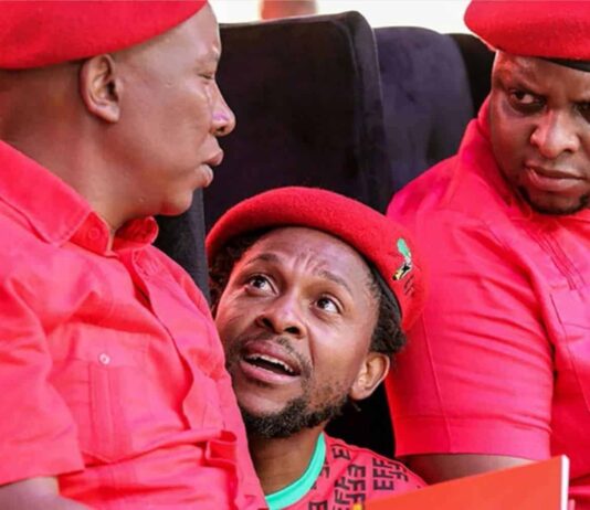 EFF founding member Mbuyiseni Ndlozi resigns from the party after nasty fall out with Julius Malema (WATCH VIDEO)
