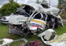 Zimbabwean driver flees from accident scene as head-on collision kills 17 people and spares 1 survivor in kombi (VIDEO & PICS)
