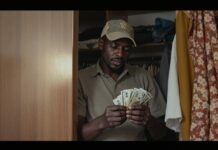 Gardener buys 2 stands after stealing US$70,000 from Mr Nyatanga’s wardrobe as Chinese national steals and sells car