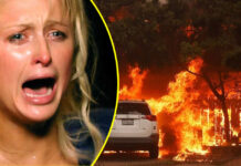 Paris Hilton, Harry and Meghan and other celebrities flee their multi-million-dollar homes as wild fire burns down houses in Hollywood (PICS & VIDEO)