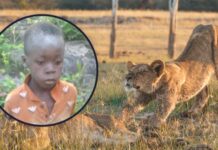8-year-old Kariba boy’s miraculous 5-day survival in Matusadonha Game Park that’s full of lions and elephants