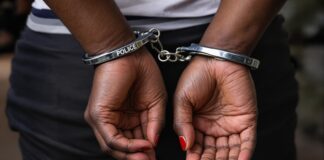 The Gilstone Farm Housing Scandal: How a Budiriro Woman Stole US$269,700 From Hundreds of People