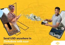 Chibaba che IT and Mukuru employee hacks into Acess Forex system and steals US$220,000: Here is how he did it