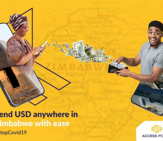 Chibaba che IT and Mukuru employee hacks into Acess Forex system and steals US$220,000: Here is how he did it