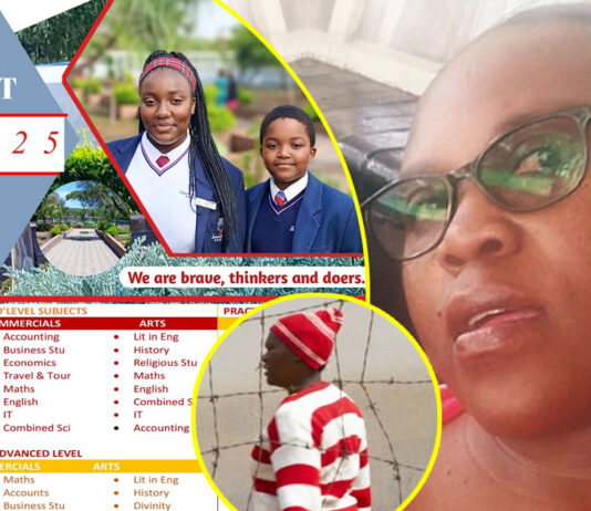 Female bursar who confessed to stealing US$290,000 cash from school to rot in jail as magistrate slaps her with a hefty sentence