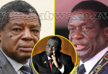 Army whisks Cde Bombshell Geza to South Africa as General Chiwenga unleashes his foot soldiers to push Mnangagwa out