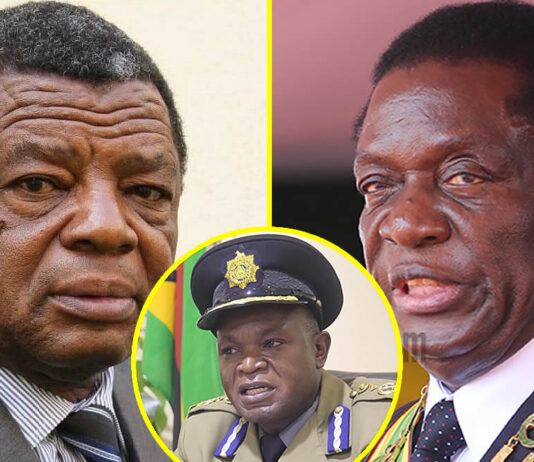 Leaked whatsApp messages expose Zanu-PF’s desperate attempts to salvage Mnangagwa’s 2030 plan as former CIO agents drops truth bomb