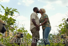 Gokwe man sends baboons to attack wife’s boyfriend after catching them having lula lula in garden, his anaconda is now mysteriously bleeding