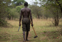 Deadly Hurungwe man beheads sabhuku, kills wife and dumps body in toilet then stabs teenage niece to death
