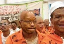 Thabo Mbeki says Zuma was a counter-revolutionary agent, questions his Robben Island imprisonment: “He was a spy planted in ANC”