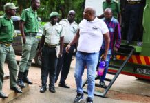 Opposition politician Job Sikhala arrested AGAIN as War Veterans call for President Mnangagwa to STEP DOWN!