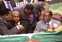 Once those War Vets say goodbye, you are gone: Former Minister and CIO operative says Mnangagwa’s days in office ‘are over’