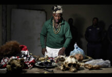 Horn with fur, chimpanzee skull, monkey face: Zimra hires sangoma Sekuru Fabiano to cleanse seized ‘zvikwambo’ at Beitbridge border