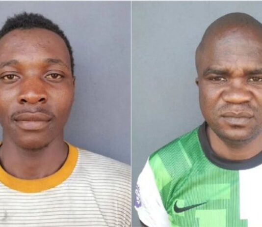 South African company offers a cool R100,000 REWARD after these 2 Zimbabwean drivers stole their trucks and vanished