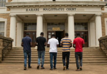 5 notorious armed robbers who have been terrorising Harare residents for months finally arrested (SEE NAMES)