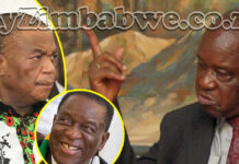 Things fall apart in Zanu PF as Vice President Chiwenga’s faction bays for Chris Mutsvangwa’s blood… General Chiwenga is absolutely fuming!