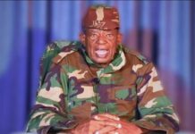 Cde Bombshell Blessed Geza releases new video, doubles down on 31 March protest call, names ‘zvigananda’ surrounding President Mnangagwa