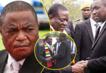 You made a huge BLUNDER: Kuda Tagwirei told after being chucked out of Central Committee meeting by General Chiwenga