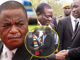 The Third Term Whisperers: Who Is Really Pushing for the 2030 Extension and What Do They Stand to Gain?