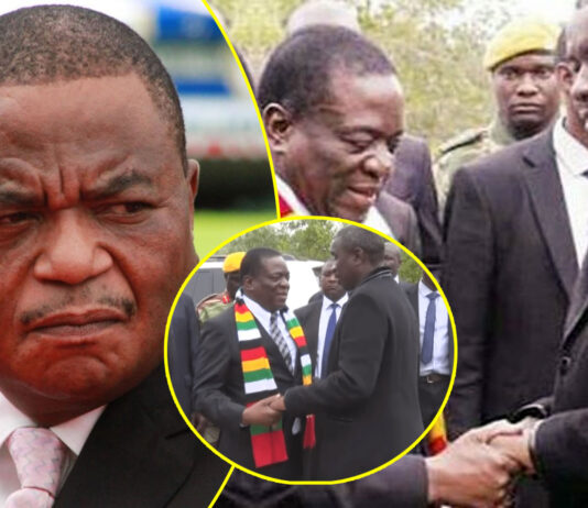 Mbinga Kuda Tagwirei about to join Zanu PF’s Central Committee as Team Mnangagwa wants him to replace General Chiwenga as Vice President