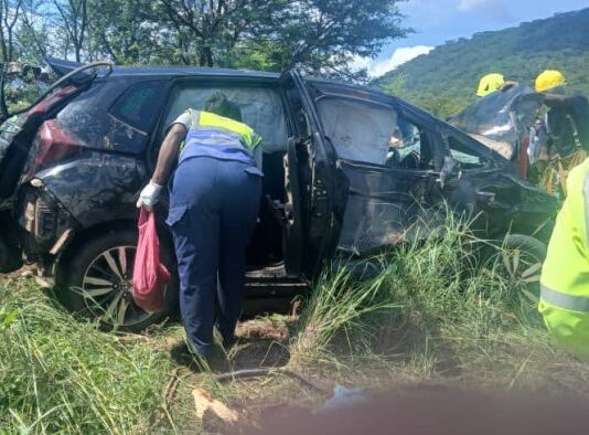 5 people die, 1 person swims to safety as Honda Fit mushikashika plunges into a disused 30-metre deep chrome pit full of water