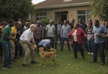 75-year-old white man arrested after being caught red-handed by his wife having lula lula with a dog