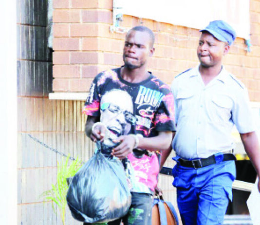 NDOKUURAYA: Harare mahobho threatens to shoot female boss over unpaid salary as security guard gets 6 years for attempted murder