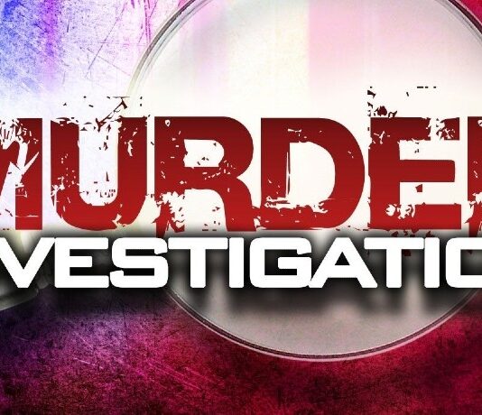 Shocking kitchen discovery: Mozambican farm worker found dead in a pool of blood after being brutally killed in Nyanga