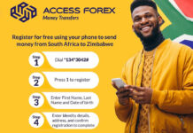 How Access Forex lost over US$320,000 and R650,000 to 31-year-old… She became mbinga and bought many properties